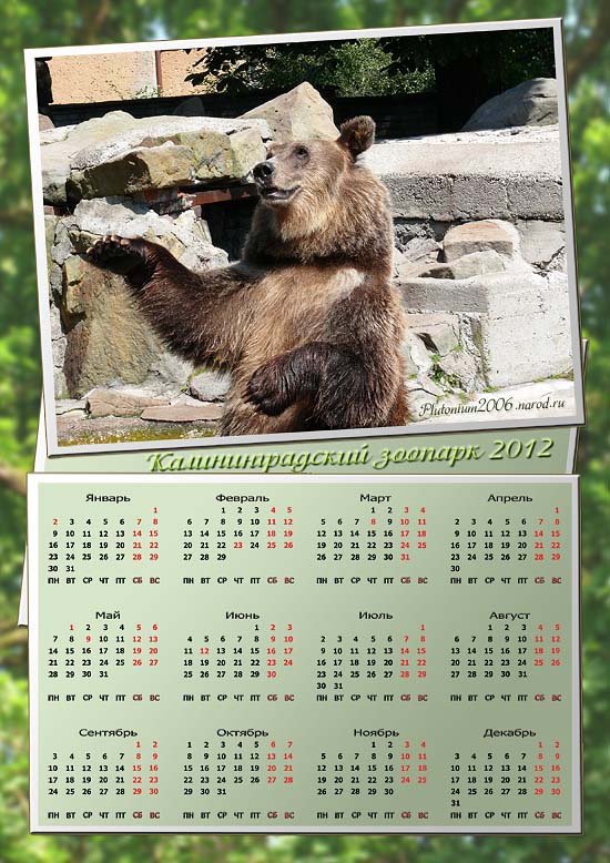 Календарь"Калининградский зоопарк"